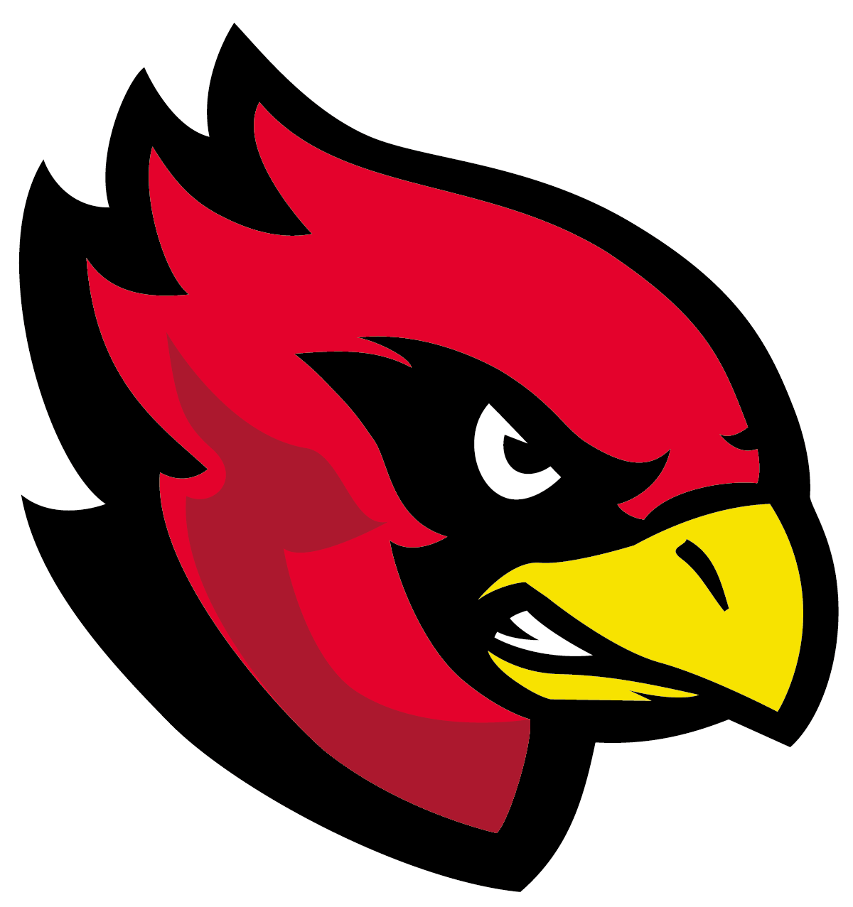 Essen Assindia Cardinals